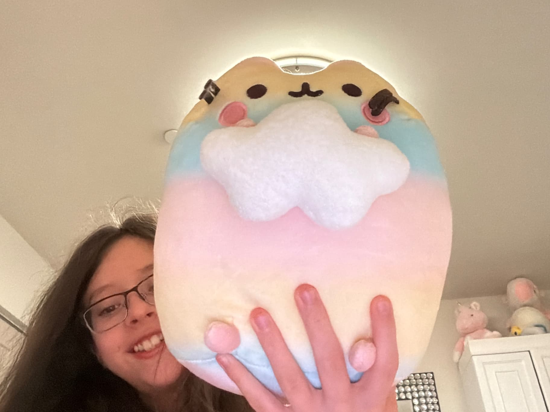 Pusheen collection