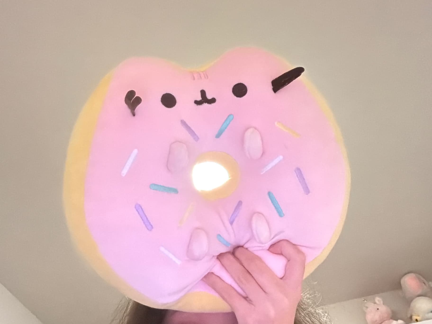 Pusheen donut