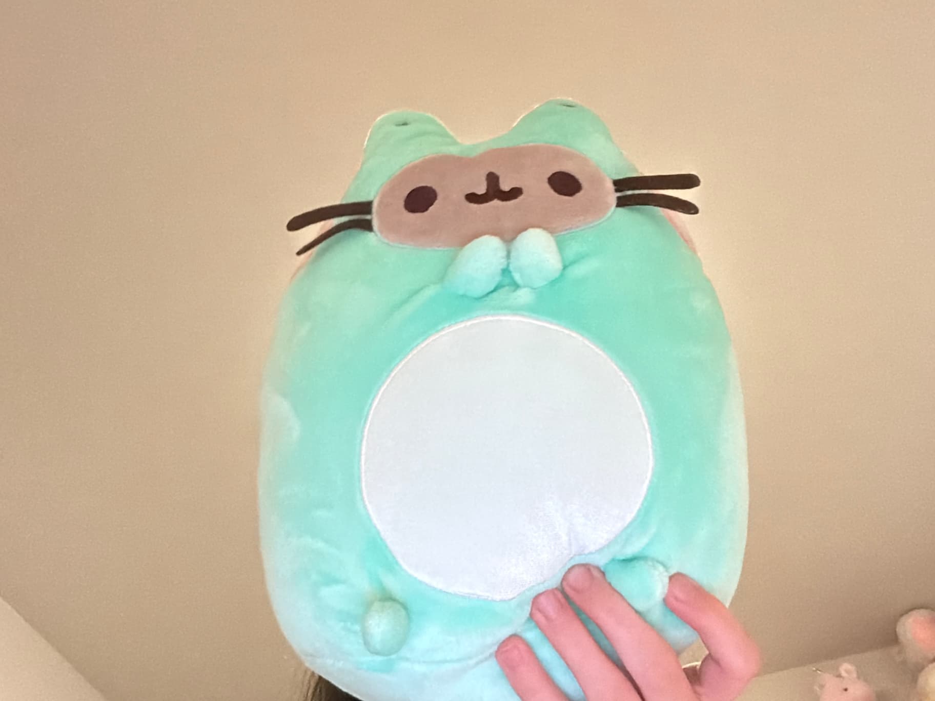Pusheen frog