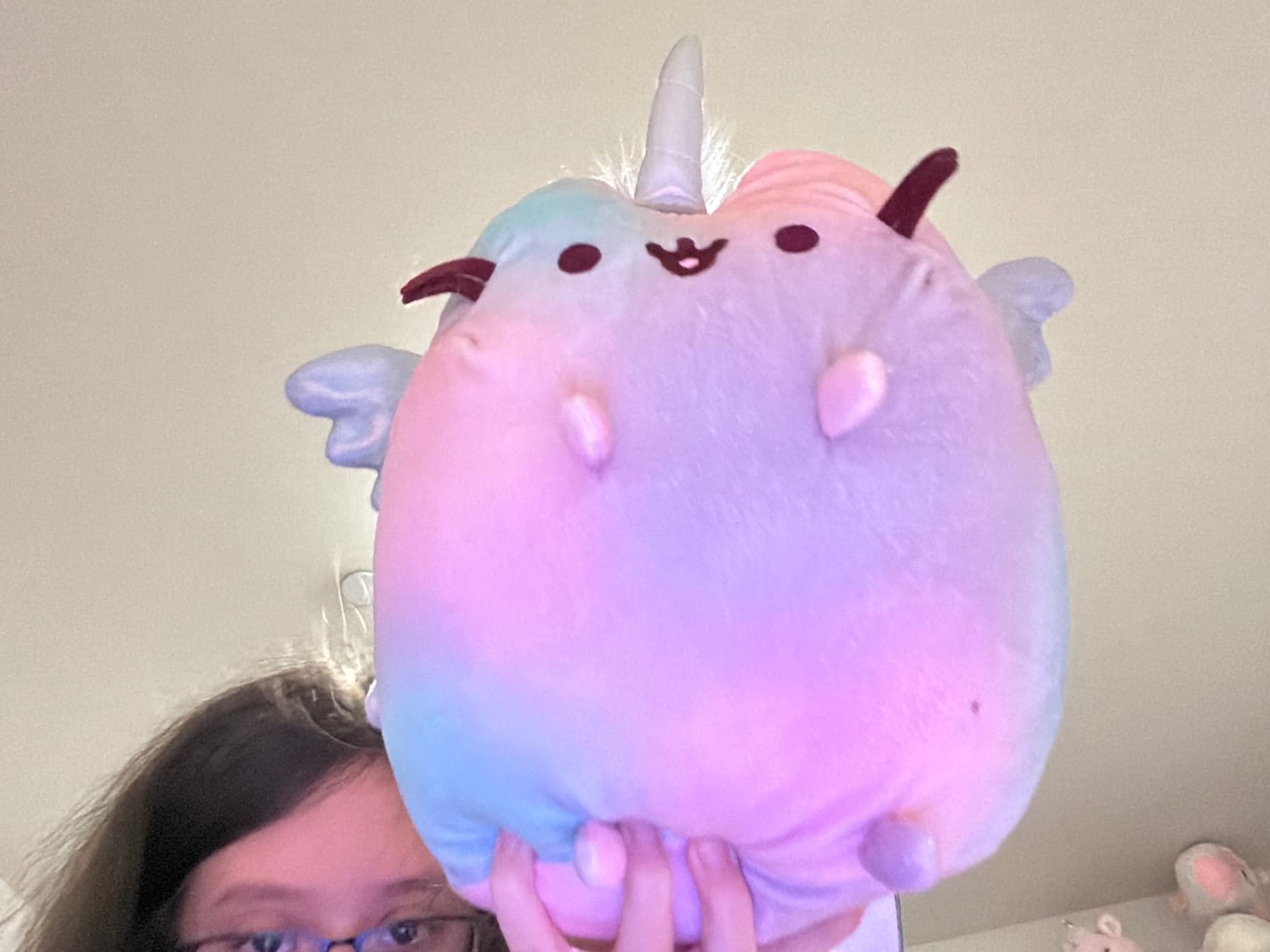 Pusheenicorn