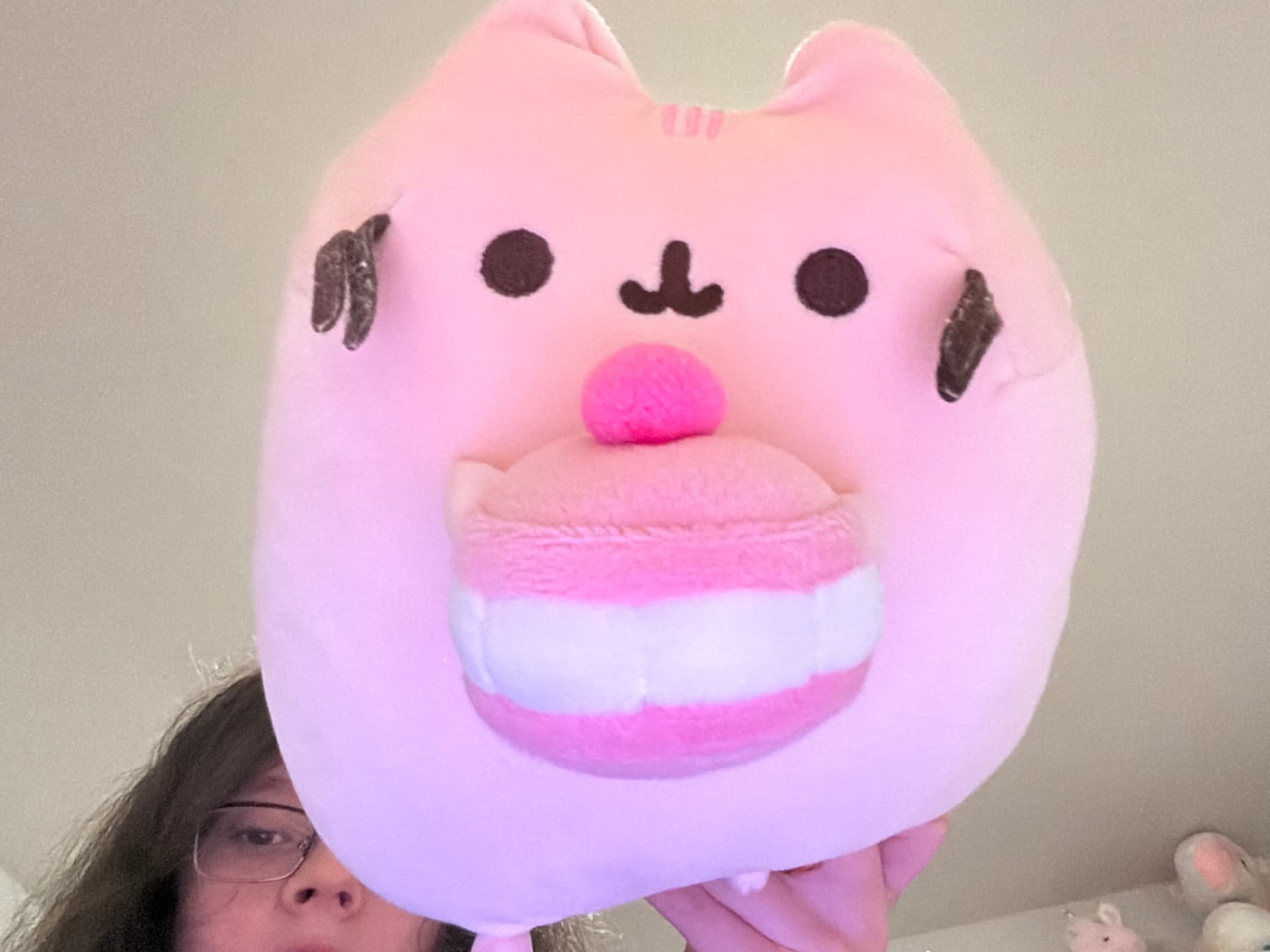 Macaron pusheen