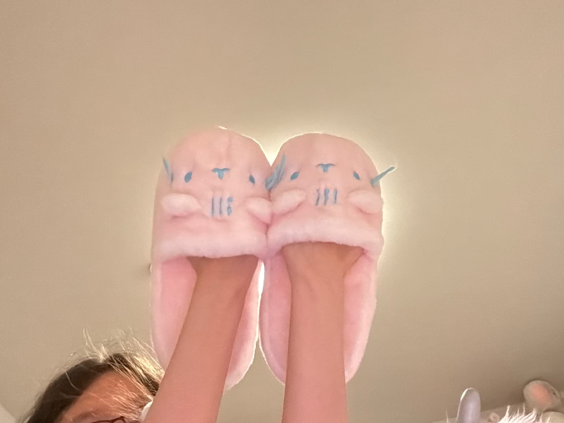 Dreamsheen slippers