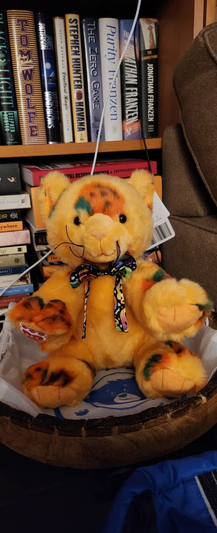 Build a Bear
